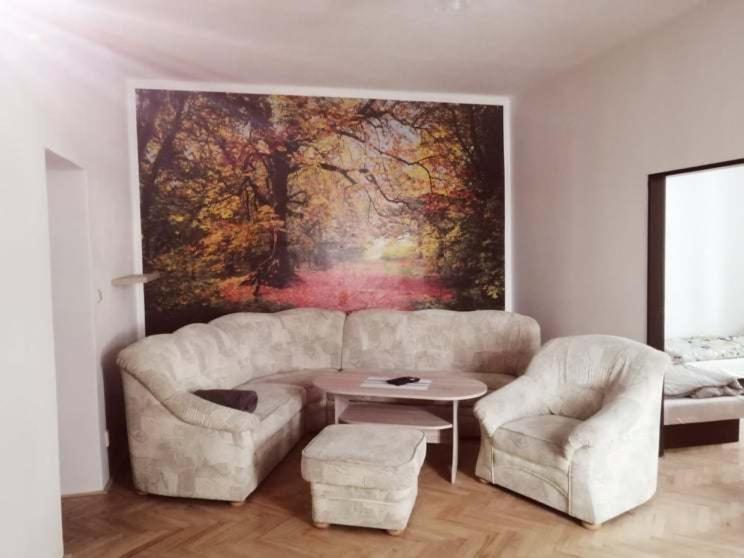 Penzion U Trojice Červená Voda Exteriér fotografie